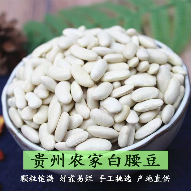 贵州白腰豆5斤包邮 食用农产品大粒酸菜豆 杂粮小白芸豆干货