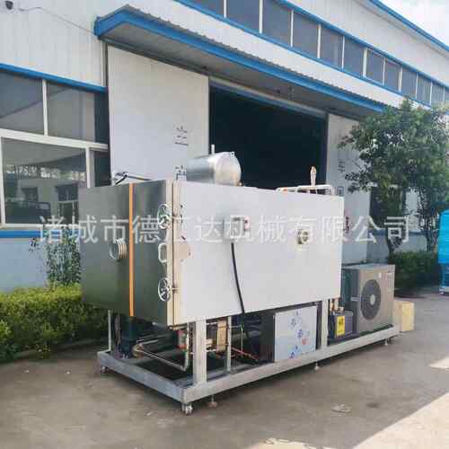 羊肚菌冻干机 松茸真空冻干 蘑菇冻干 食用菌冻干设备