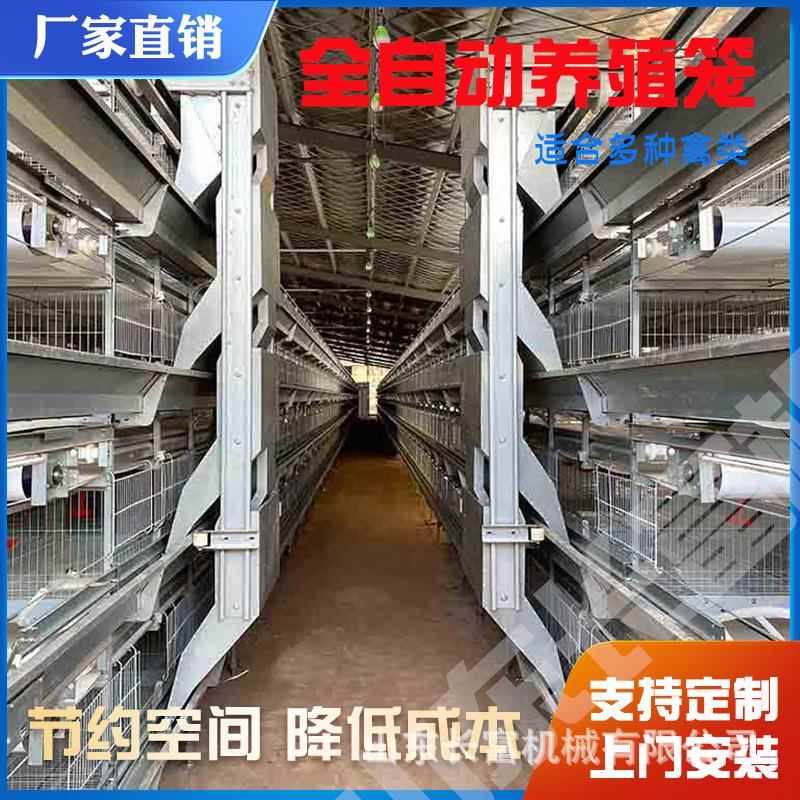 层叠式养鸡设备 立式H型全自动蛋鸡笼 四层清粪鸽子笼鹌鹑养殖笼