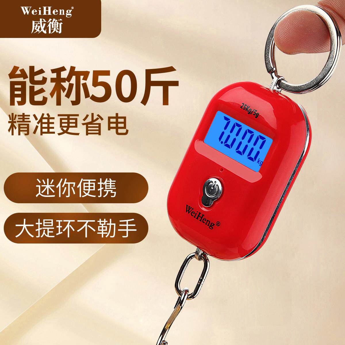 精准迷你手提电子秤高精度小型可携式吊秤弹簧秤家用钩称随身小秤