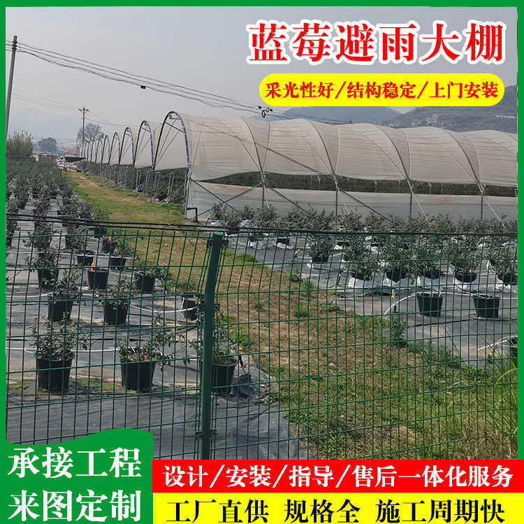 蓝莓大棚 镀锌骨架避雨棚 薄膜连栋蓝莓避雨棚种植蓝莓拱形避雨棚,农机/农具/农膜,温室大棚支架,淘宝优惠券,粉丝福利购,淘宝优惠卷
