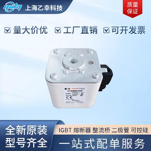 巴斯曼熔断器 170M6339 170M6340 170M6341 170M6342 170M6343