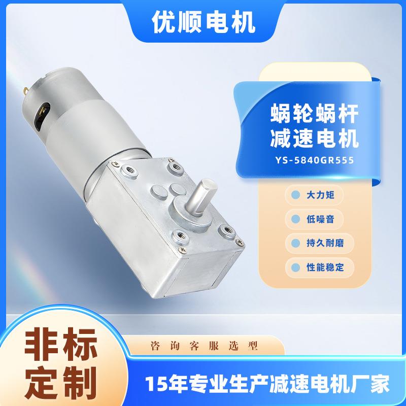 炒菜抽油烟机电动车滑轨猫砂盆电机自锁微型直流蜗轮蜗杆减速电机