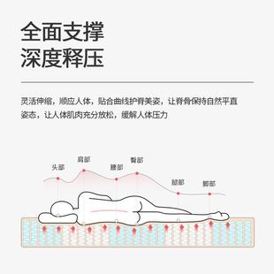 工厂销天然环保棕床垫护直席脊可洗VNX偏拆硬家用梦思椰棕弹簧床