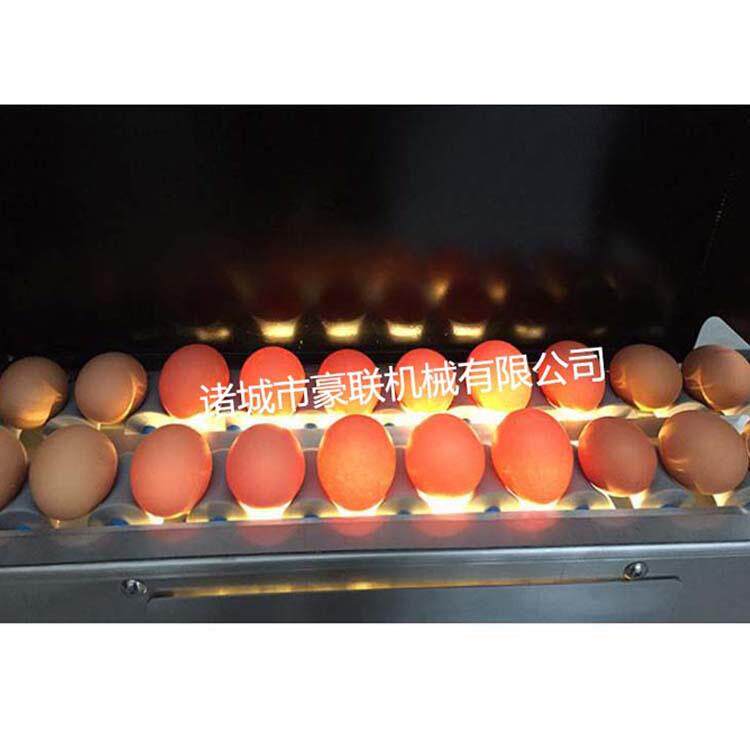 全自动洗蛋机 笨鸡蛋土鸡蛋清洗生产线 蛋品初加工清洗分级风干