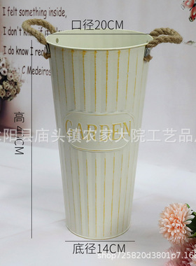 鲜花鲜花养花干花花盆装饰摆件