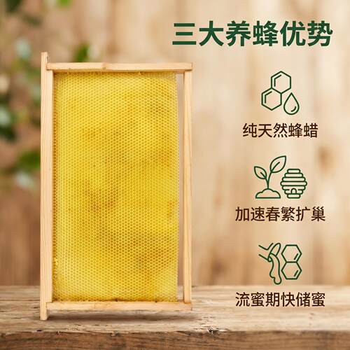 中蜂旧巢脾中蜂专用成品巢础 蜂蜜繁殖脾 养蜂工具笼蜂繁殖脾巢框