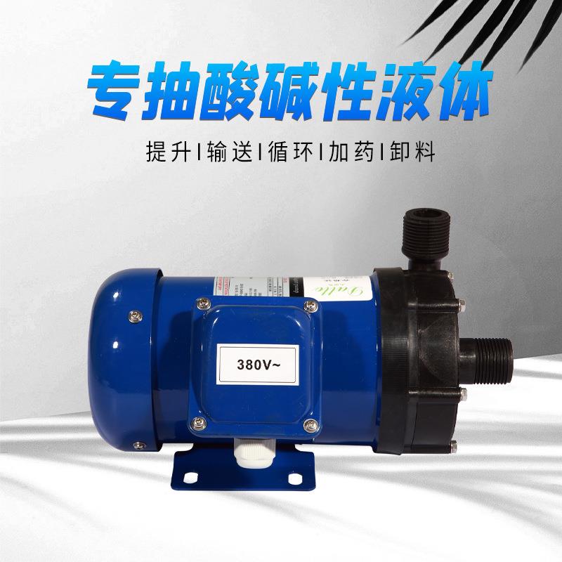 大头马磁力泵小微型耐酸碱氟磁力泵电镀无轴封耐腐蚀磁力驱动加药