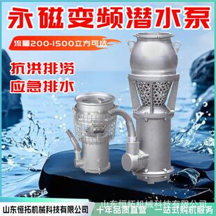 便携式永磁防汛泵大流量高扬程排涝潜水泵防洪抽水轴流泵