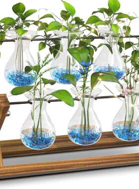 双层水滴木架花瓶家居水培植物插花器水养绿萝花盆桌面办公桌摆件