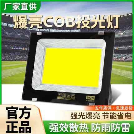 led户外照明灯室外防水探照路灯工程工地车间仓库厂房投光射灯