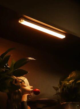 Rechargeable Motion Sensor LED Bar Light Induction Under Cab