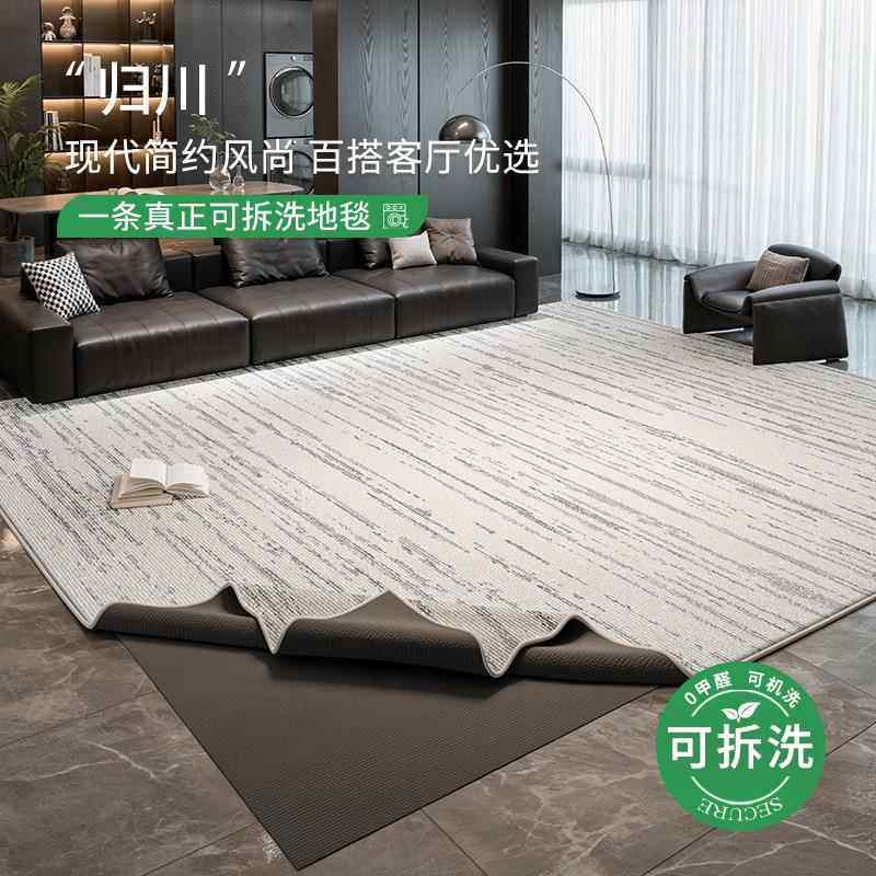 可拆洗地毯客厅现代简约新款防水防污意式家用双层可机洗地毯家用