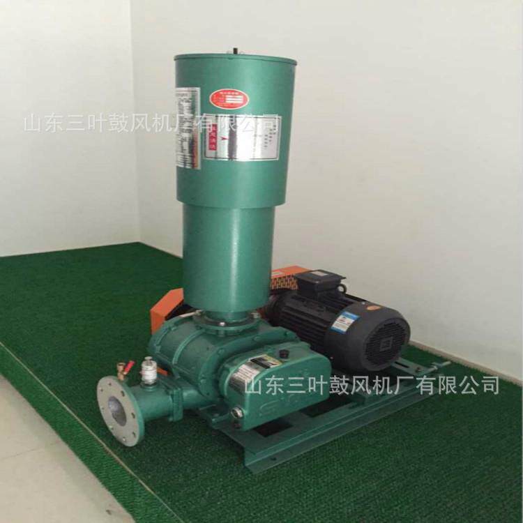 重庆罗茨鼓风机污水处理三叶罗茨鼓风机广西曝气回转式鼓风机