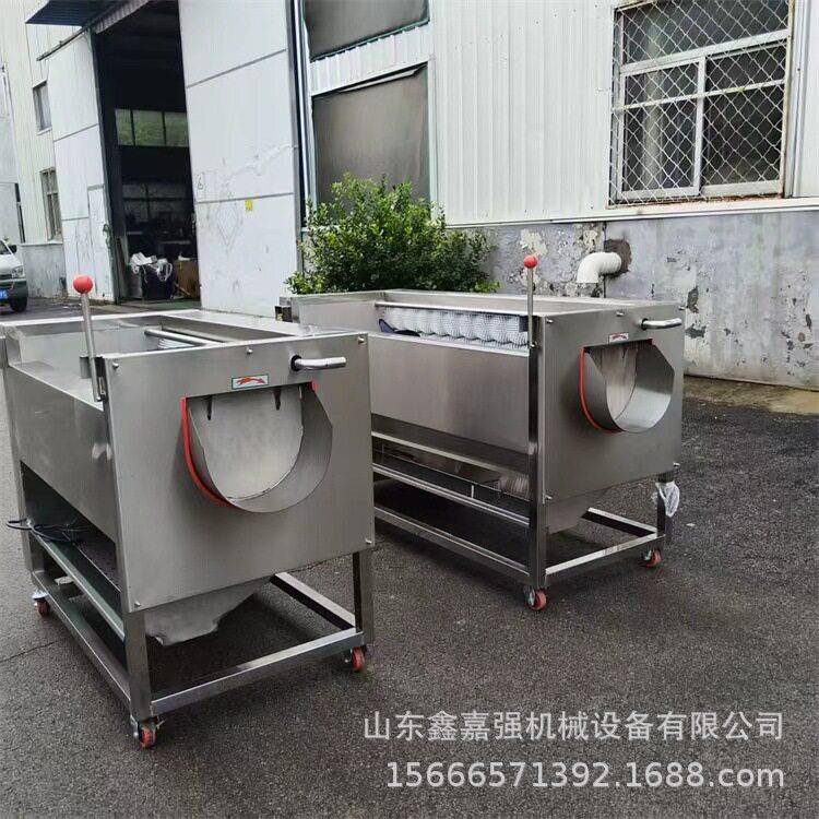 材根茎毛辊清洗机海鲜扇贝刷洗设备水果蔬菜毛刷清洗机器