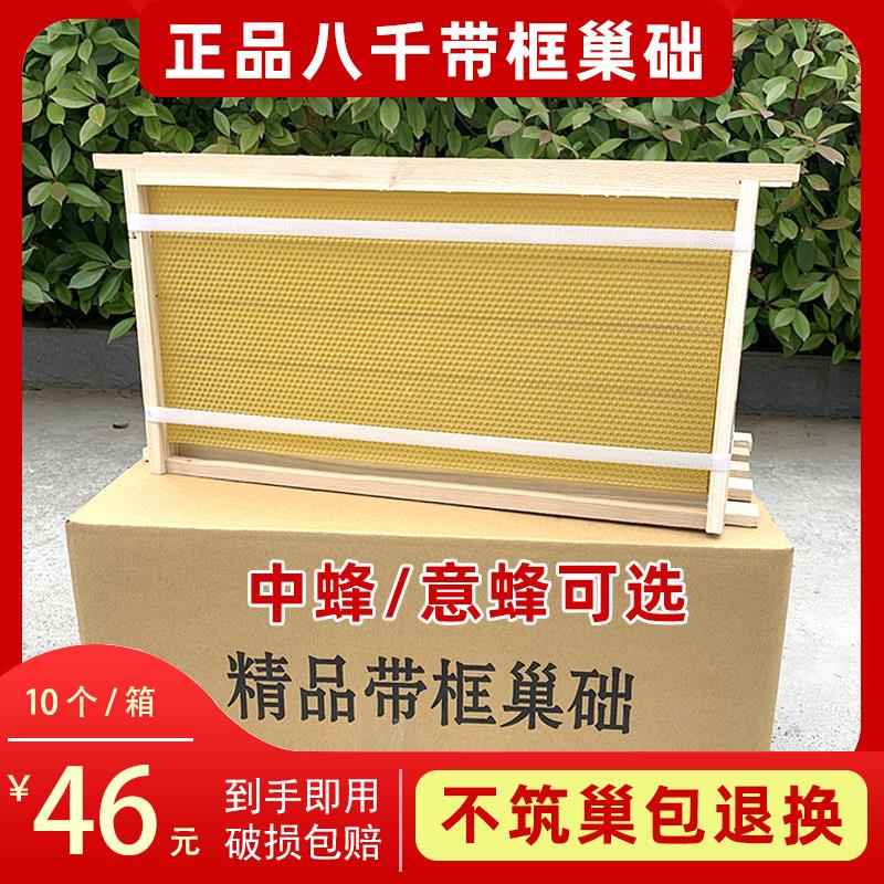 正品八千巢础成品巢框带框巢础片中蜂深房巢脾蜜蜂箱全套养蜂工具