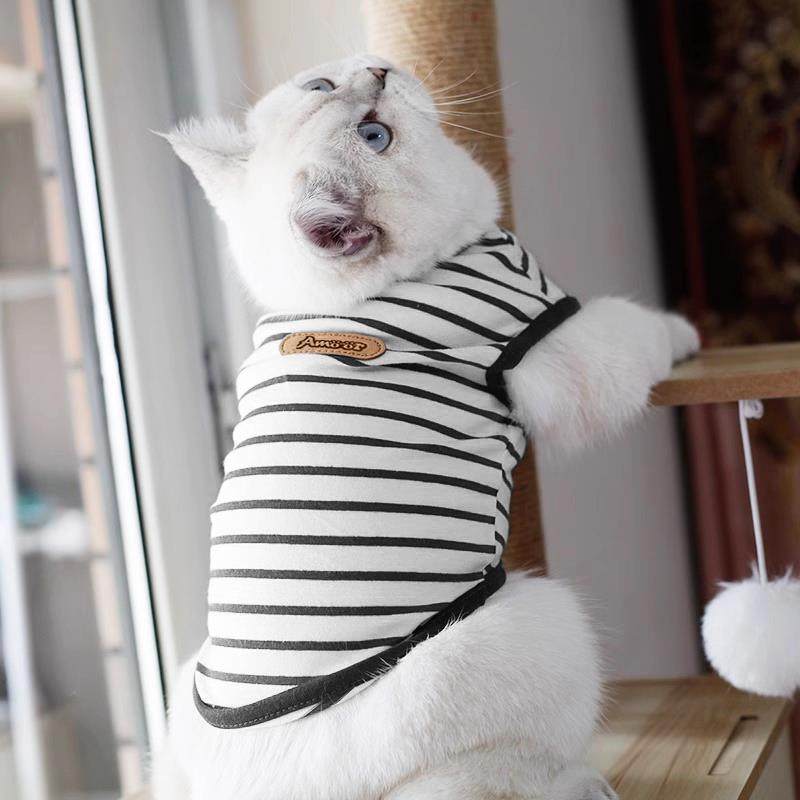 猫咪衣服防掉毛春夏款英短布偶银渐层金吉拉可爱背心宠物狗条纹衫,宠物/宠物食品及用品,猫宠物服装/雨衣（新）,淘宝优惠券,粉丝福利购,淘宝优惠卷