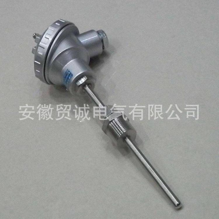 WRNK-231铠装热电偶 pt100热电阻 K型防水式 供应