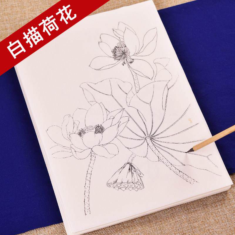 工笔画白描底稿手绘荷花画谱线描临摹练习熟宣纸莲花水彩国画上色