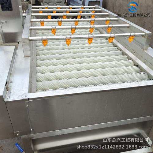海诸城生萝产蛎子平毛辊清洗钢机 白卜不锈带喷淋毛ZEW辊清洗机