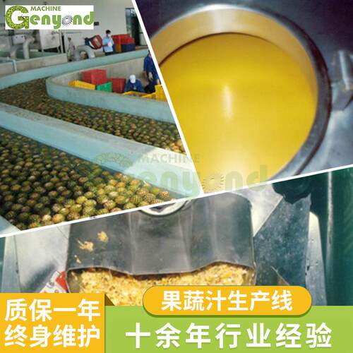 厂家直供果蔬汁产线不锈钢车间全自动液体饮料果蔬榨汁产线设备