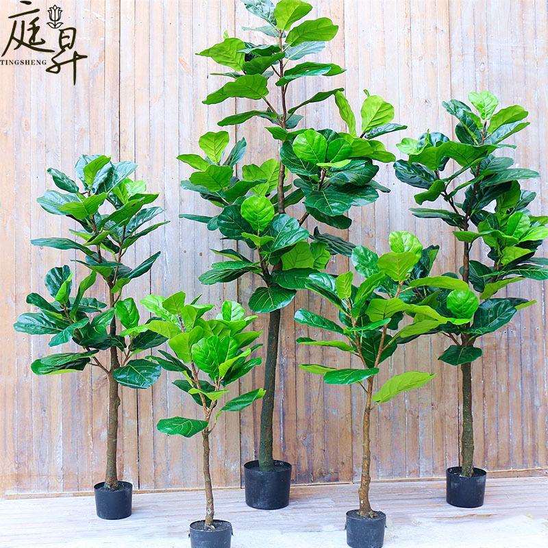 仿真琴叶榕盆栽大型北欧落地绿色假植物仿真假树家居套装摆件