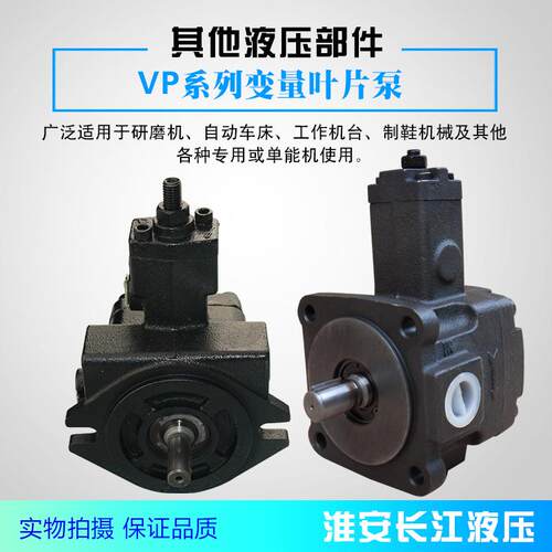VP系列变量叶片泵现货供应高品厂家直发工作稳定质量好长江