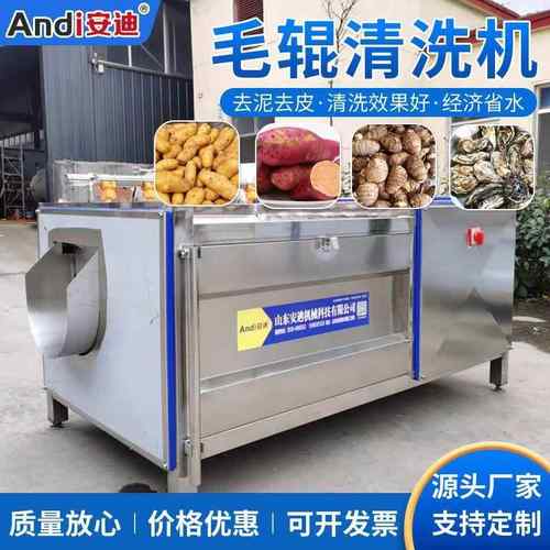 喷淋式毛辊去皮清洗机土豆大姜毛刷清洗去泥机洋葱去皮机现货