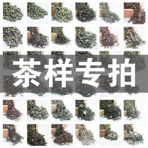 广西芸鼎茶业茉莉花茶横县核心产地茶厂茶叶试喝样10g特级