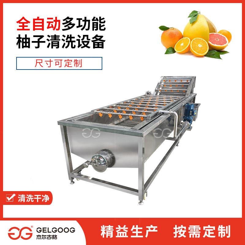 水果净果清洗设备葡萄柚清洗设备红蜜柚自动洗果机柚子清洗机