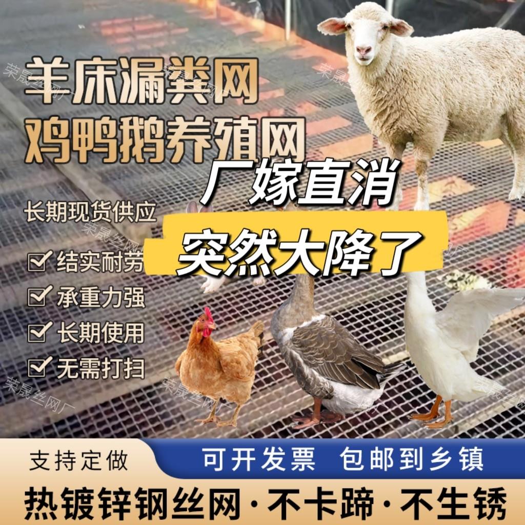 热浸镀锌钢丝网羊床漏粪网猪狗鸡鸭鹅漏粪板围栏筛网加粗防护铁丝