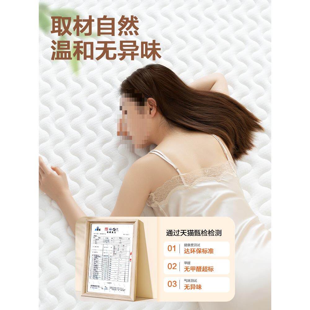 垫可订252任意尺寸榻棕新榻米垫棕子折叠天然椰垫纯棕垫子家用品