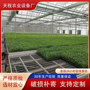 智能温室蔬菜苗床 电焊网片苗床网温室大棚育苗床 大棚围栏
