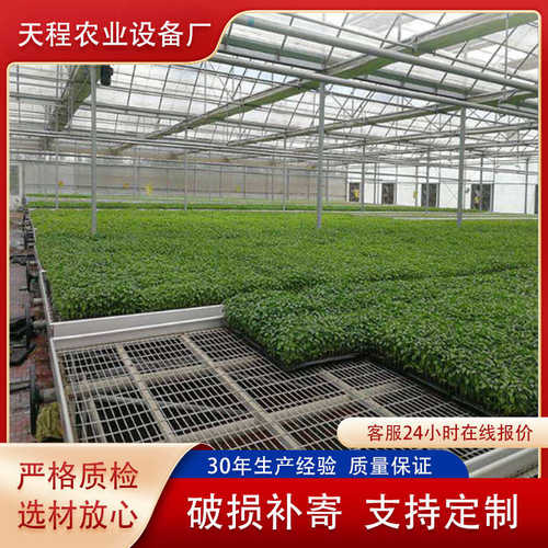 智能温室蔬菜苗床 电焊网片苗床网温室大棚育苗床 大棚围栏