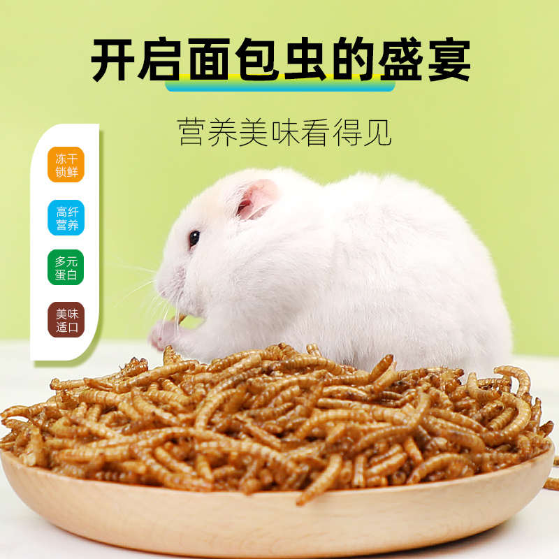黄粉虫干仓鼠粮食小零食金丝熊专用营养主粮食物面包虫干套餐大全