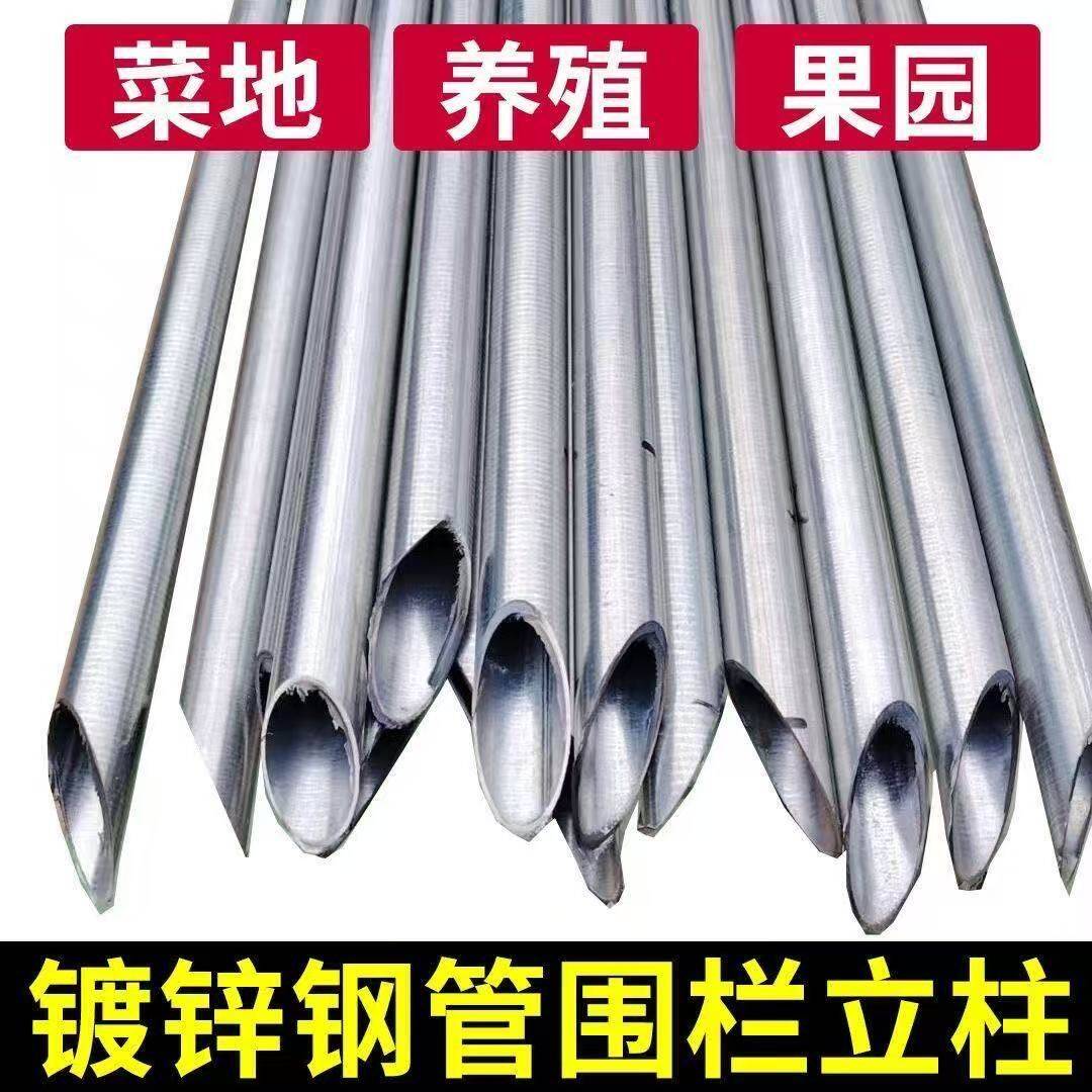 防锈尖头空心立柱加厚圆管镀锌钢管圆形立柱围果园立柱菜园围栏图片