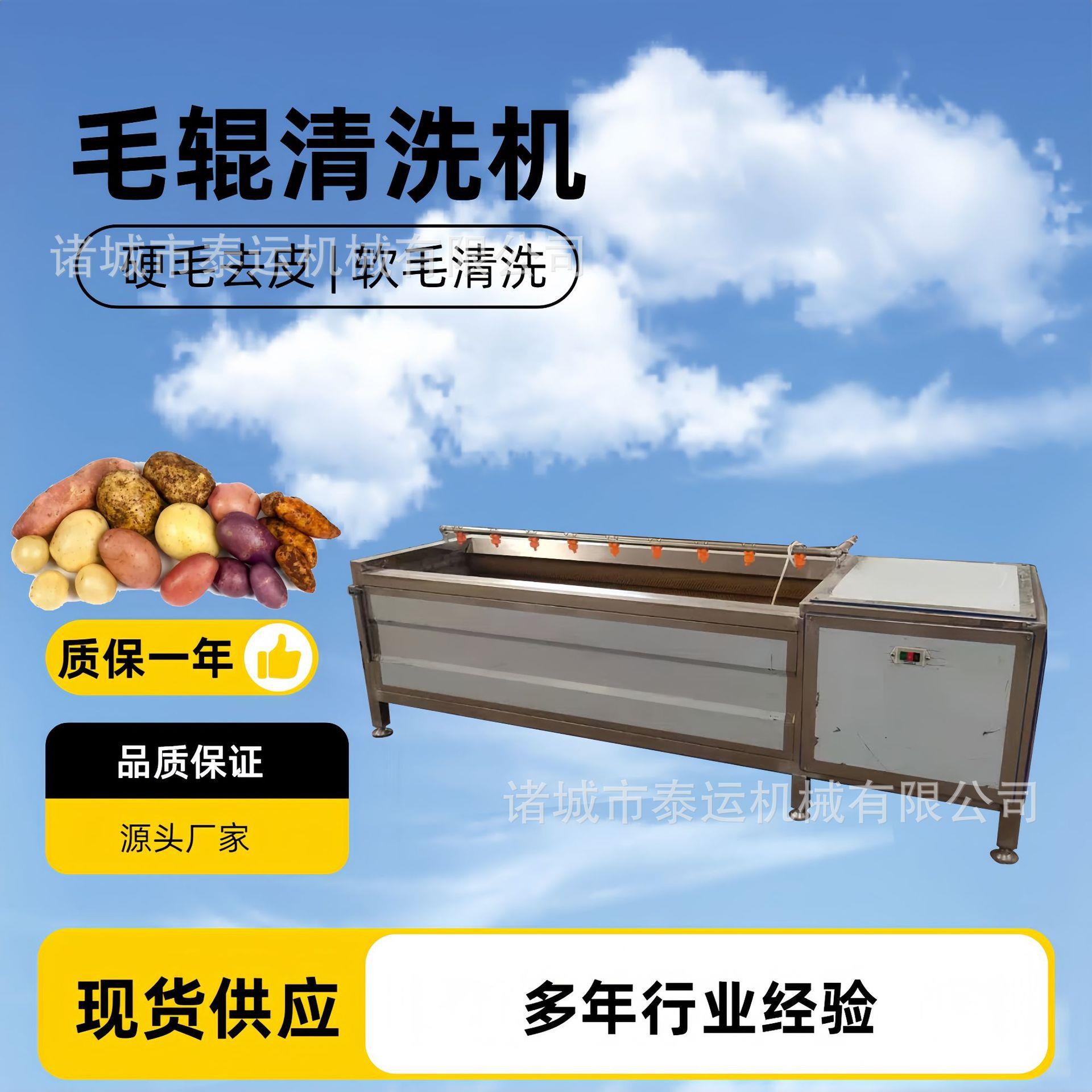 白萝卜清洗机土豆红薯毛辊去皮机生地黄毛辊清洗机洗土豆设备
