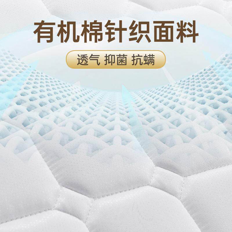 I9EK全椰棕床垫环保棕经济型硬板护腰天然棕垫薄偏硬加用软垫棕榈