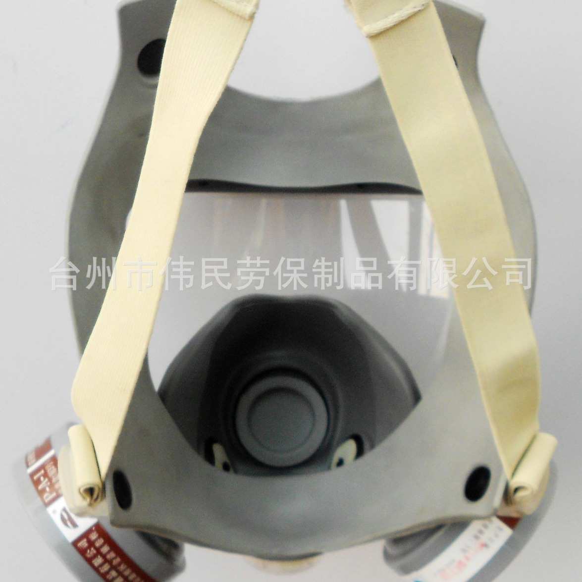 9800A劳保品供应防毒全面罩以勒牌防护面具有机气体和蒸气苯气等