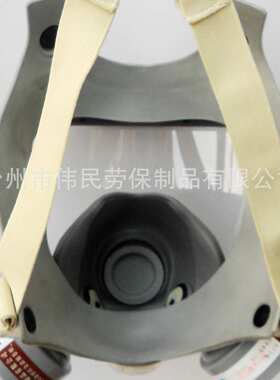 9800A劳保品供应防毒全面罩以勒牌防护面具有机气体和蒸气苯气等