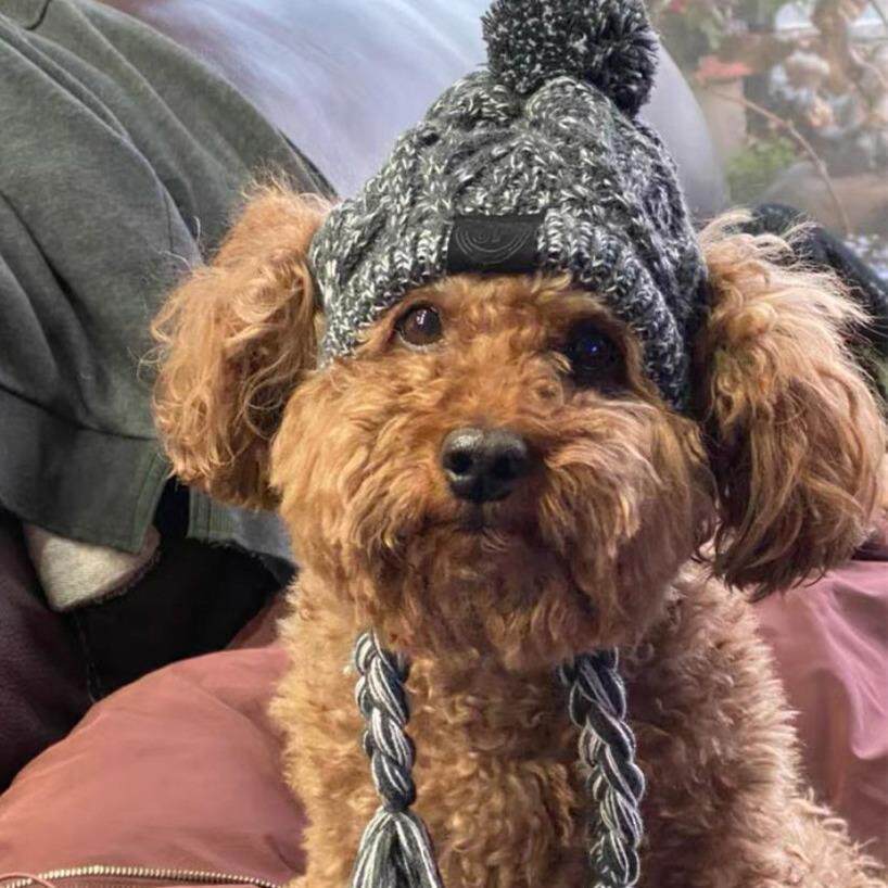 新款宠物头套秋冬毛球保暖防冻风蓬蓬球针织法斗大小型犬针织帽子