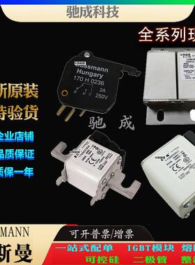 巴斯曼170M3521170M3522170M3523厂家原装优价供应快熔保险丝