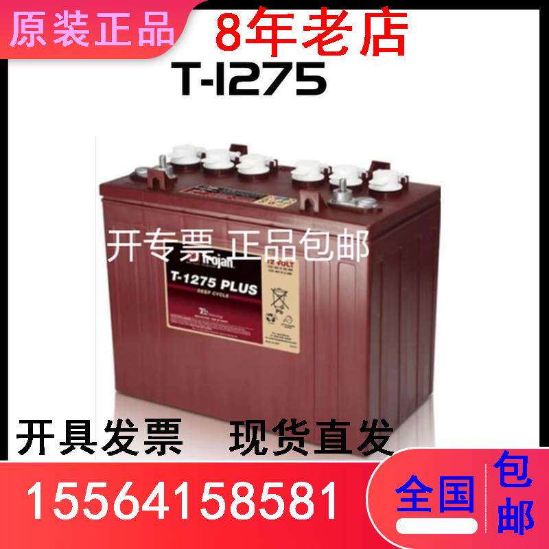 邱健蓄电池T-875 8V170AH洗地机升降机观光车叉车电瓶高尔夫球车