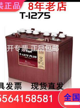邱健蓄电池T-875 8V170AH洗地机升降机观光车叉车电瓶高尔夫球车