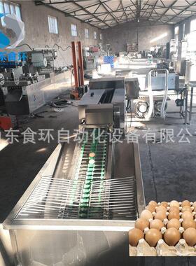 鸡鸭蛋清洗机 泥蛋脏蛋清洗机 鸡蛋清洗风干线 洗蛋机厂家