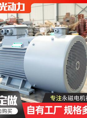 厂家直供15w永磁变频电机5W8W10W稀土变频永磁无刷发电机