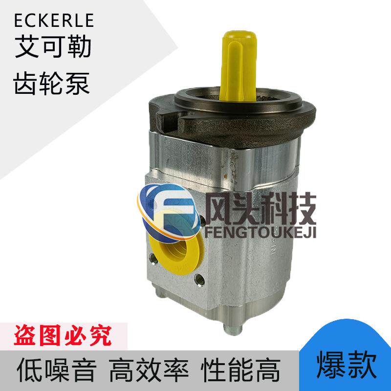 原装ECKERLE艾可勒齿轮泵890-EI-0250-FK2-S201注塑机压铸机油泵