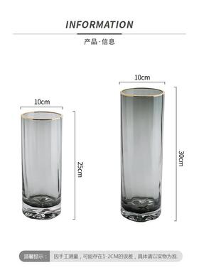 北欧简约创意轻奢透明花瓶水养富贵竹百合玻璃插花瓶客厅餐桌金小