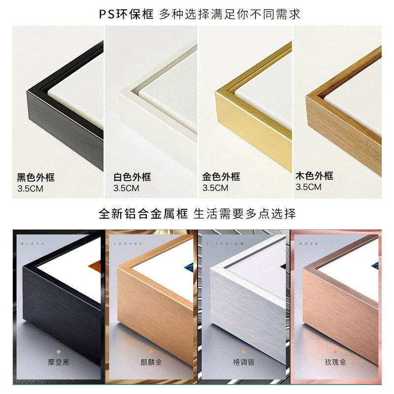 喜气盈门玄关装饰画al202411新中对式入走户寓意画好花鸟挂廊过道
