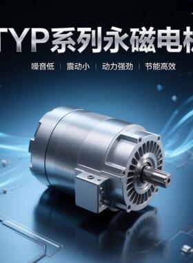 200w永磁交流电机TYP系列永磁变频同步电动机